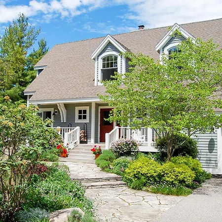 Blue Bear Villa